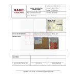 3-RGF-B699_page_2