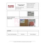 3-RGF-B700_page_2