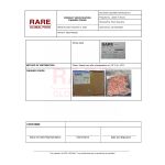 3-RGF-P001-2_page_2